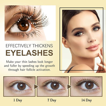 EELHOE Lash Brow Intense Regeneration Serum